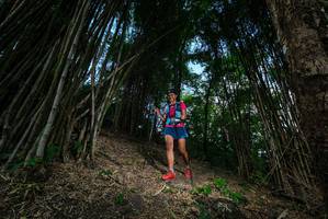 BIB: 
                            <button type="button" onclick="openModal(19395453)" class="btn btn-primary btn-sm float-right btn-popup" data-toggle="modal" data-target=".modal-high-quality">
                        <i class="fas fa-shopping-cart"></i> Add to Cart
                    </button>
                                            <button type="button" onclick="isThisMe(19395453, true)" class="btn btn-success btn-sm float-right btn-popup btn-isme hidden" data-toggle="tooltip" data-placement="bottom" title="นี่คือรูปของคุณใช่ไหม คลิกที่นี่เพื่อเอาเข้าอัลบั้ม">
                        <i class="fas fa-plus"></i> Add to album
                    </button>
                    <button type="button" onclick="isThisMe(19395453, false)" class="btn btn-warning btn-sm float-right btn-popup btn-isnotme hidden">
                        <i class="fas fa-ban"></i> Remove from album
                    </button>